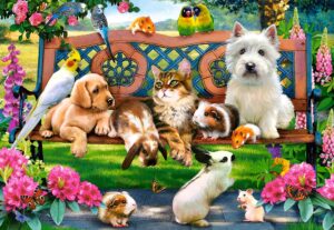 Castorland - Pets in the Park (1000 dielikov)