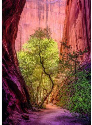 Heye Puzzle - Singing Canyon (1000 dielikov)