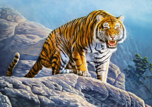 Castorland - Tiger on the Rock (500 dielikov)